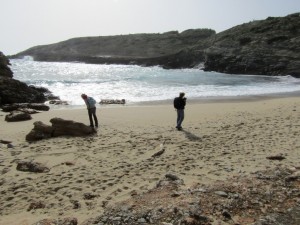 IMG_5433 (Medium)
